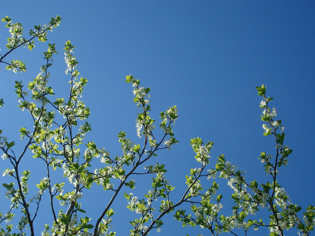 4. 便捷交通配套