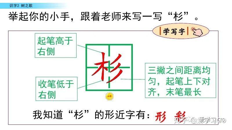 部编版二年级语文上册识字2《树之歌》图文讲解 - 知乎