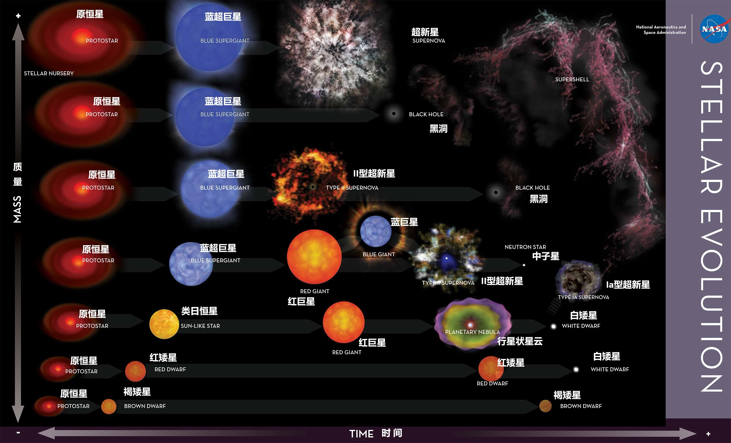 非铁核的单个恒星也可能变成超新星吗? - 知乎