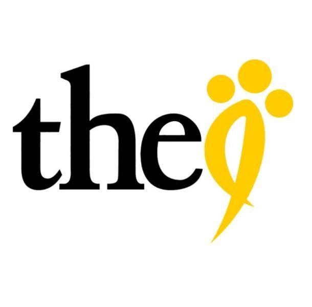 the9的成立会对火箭少女造成什么影响?