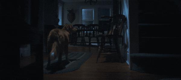 《冷猫狗》今年最颠覆！限制级禁忌挑战