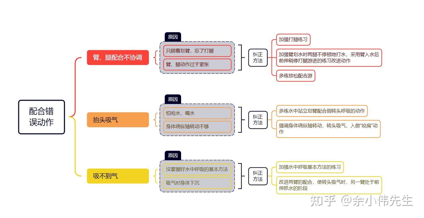 游泳技术详解 | 自由泳/爬泳的技巧与特点（如何彻底学好自由泳） - 知乎