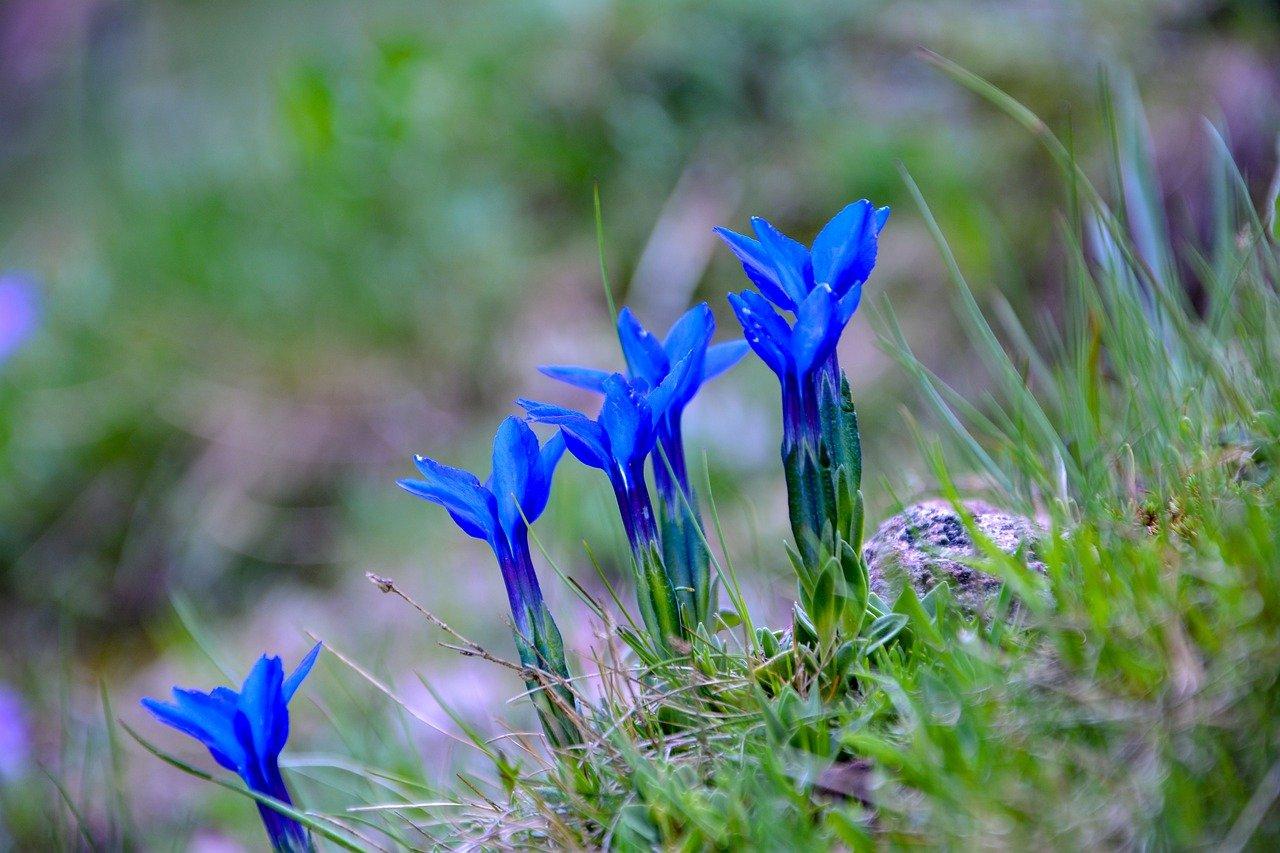 装修风格趋势解读