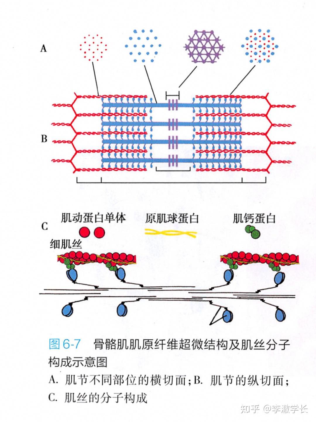 小受该怎么保护菊花啊,肛瘘什么的好可怕啊? - 知乎