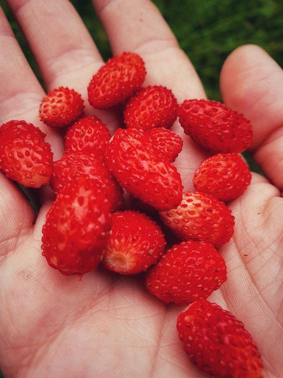 4. 添加衣物步骤