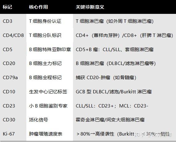 CD3、CD20…揭秘淋巴瘤免疫组化报告上的“CD家族” - 知乎