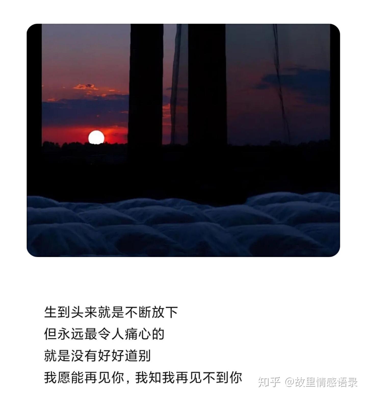 爱情语录- 知乎