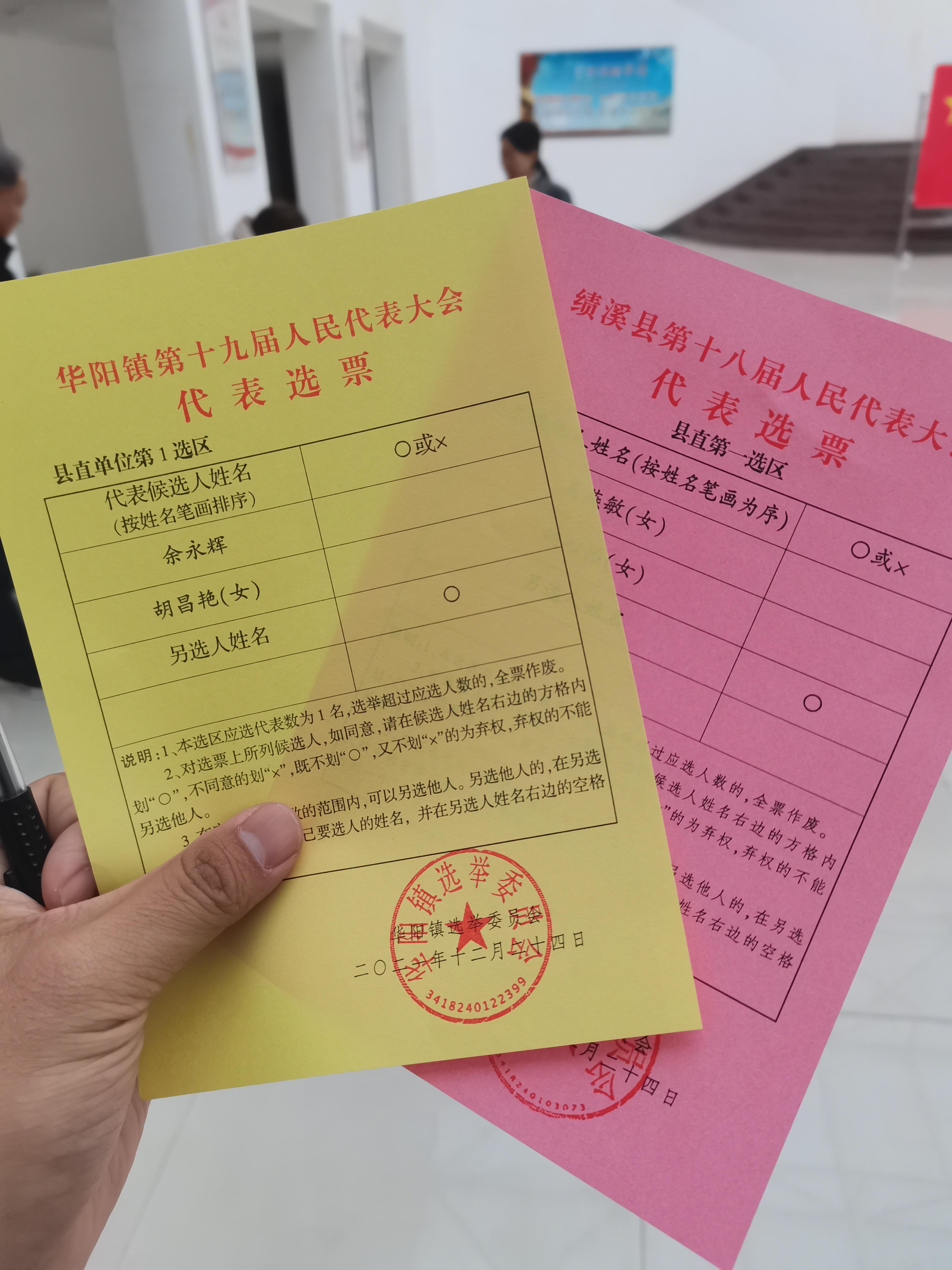 投票选票模板格式