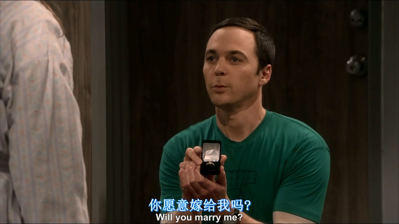 如何评价生活大爆炸第十季