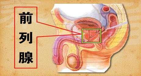 前列腺炎症状表现有哪些症状