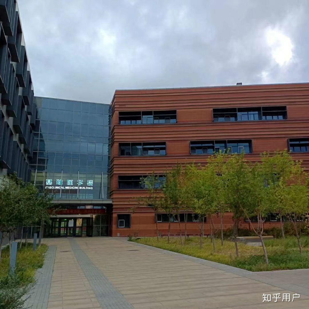 在新疆医科大学厚博学院就读是什么体验
