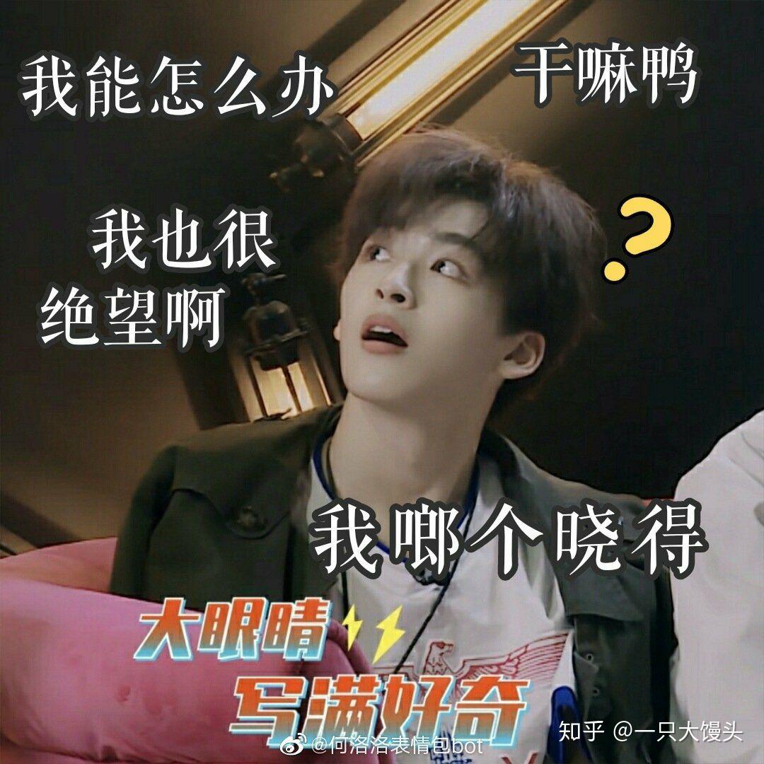 何洛洛有哪些搞笑的表情包