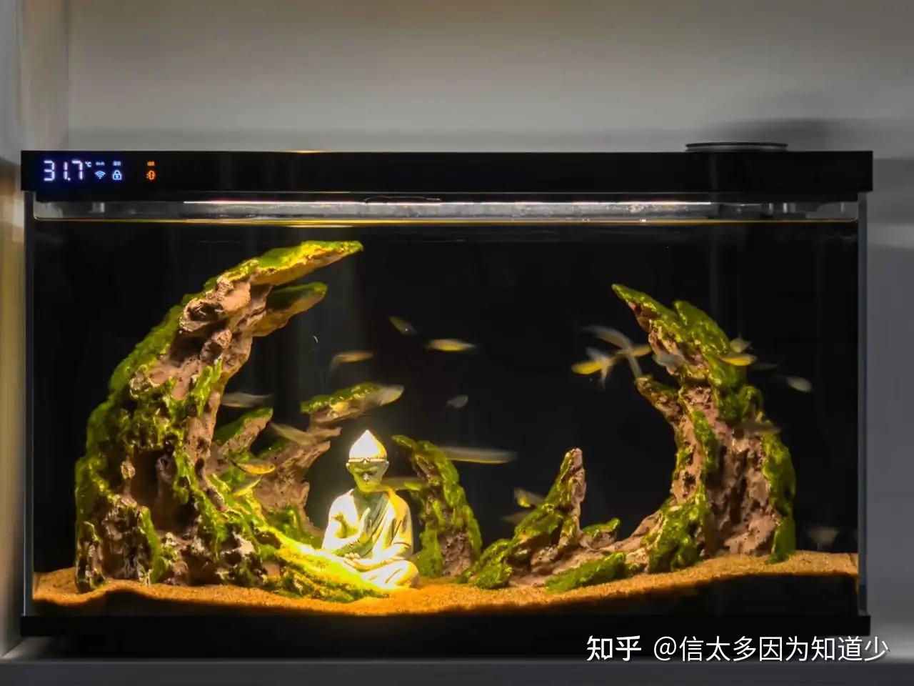 当贝鱼缸智能1S Ultra老用户实测2S Ultra,真正升级点不止更智能