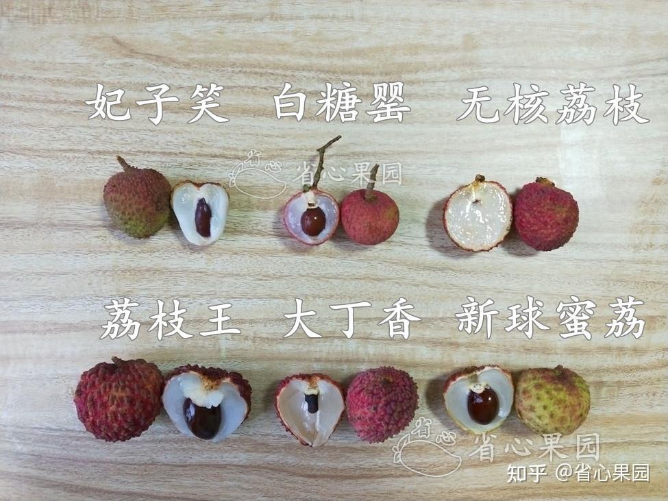 无核的荔枝是怎么培育出来的啊? - 知乎
