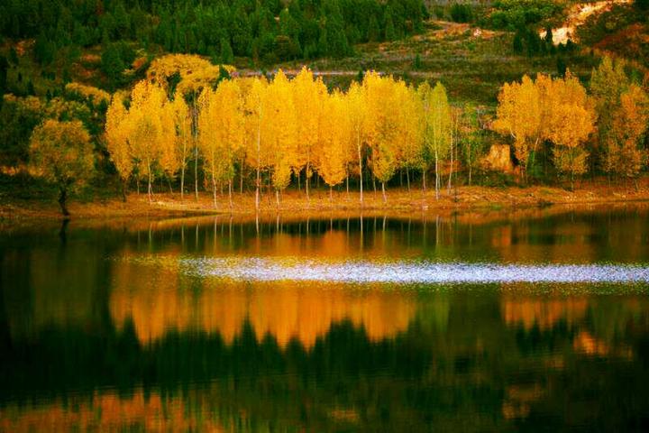 李泽宇老师的学生反馈1如沐时雨