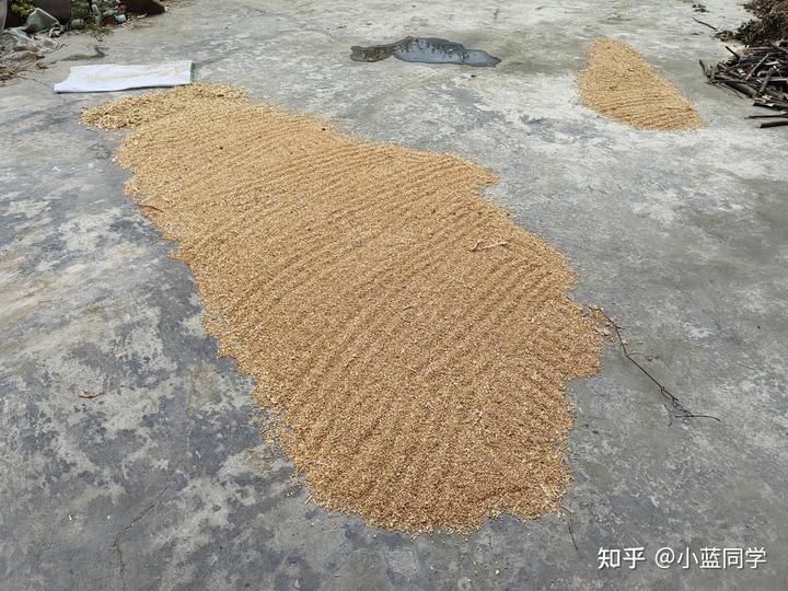 人，可以废物到什么程度？