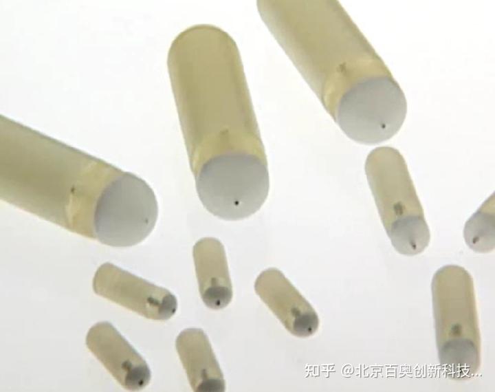 必看!2026年alzet渗透泵使用方法推荐榜单 - 知乎