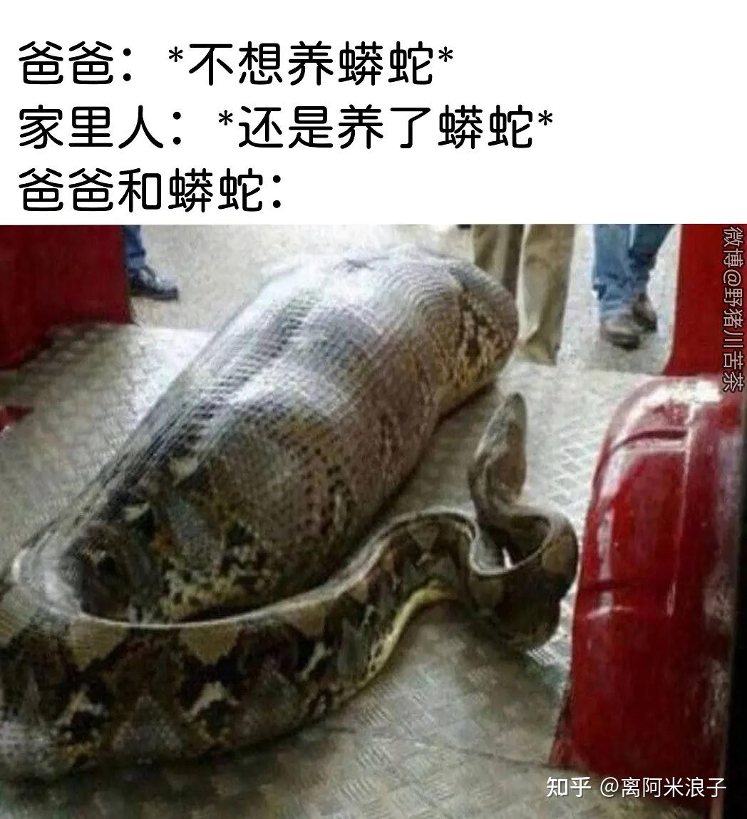 有没有那种一看就笑死的表情包或梗图? - 知乎