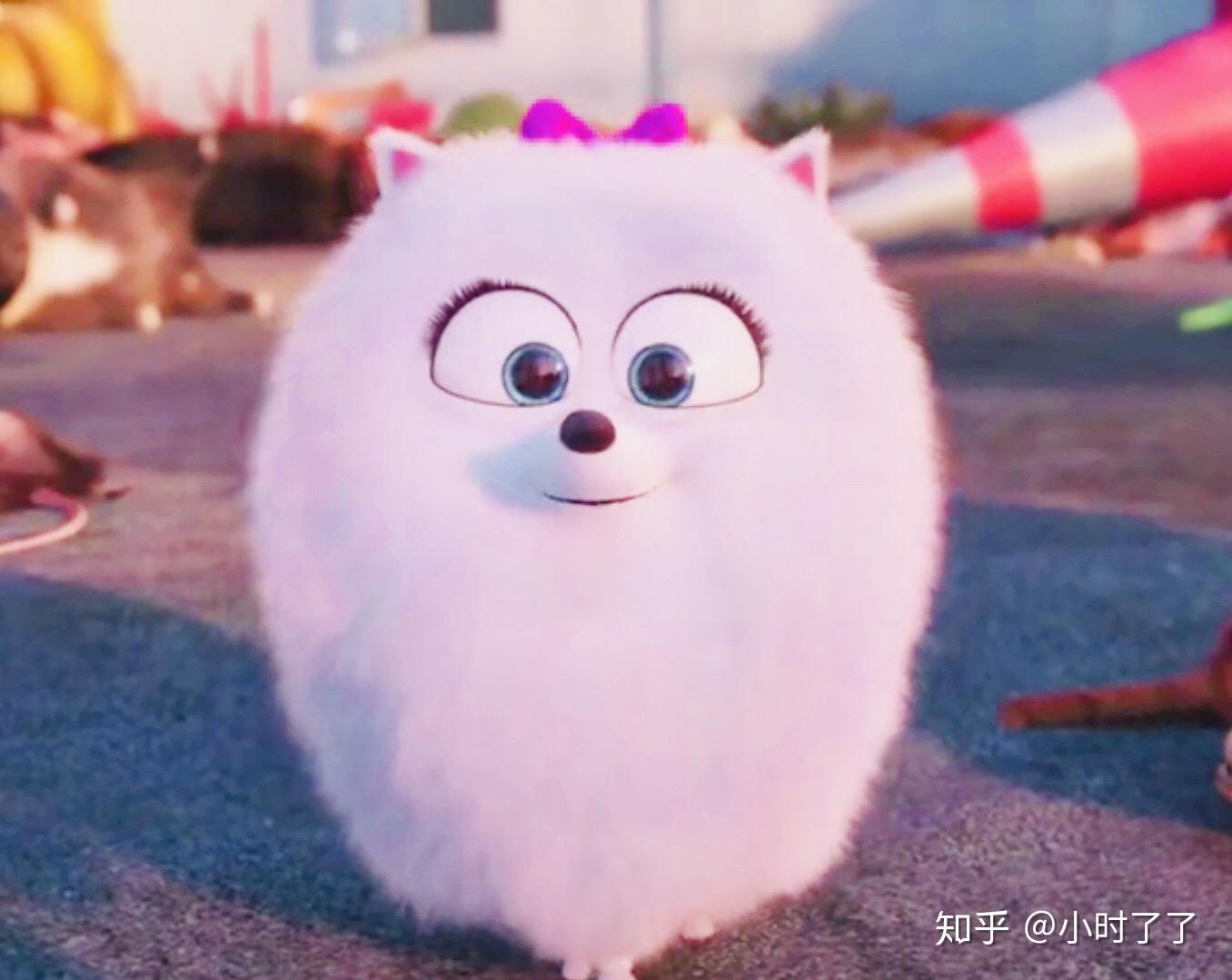 求《爱宠大机密》小白狗啾啾的头像? - 知乎