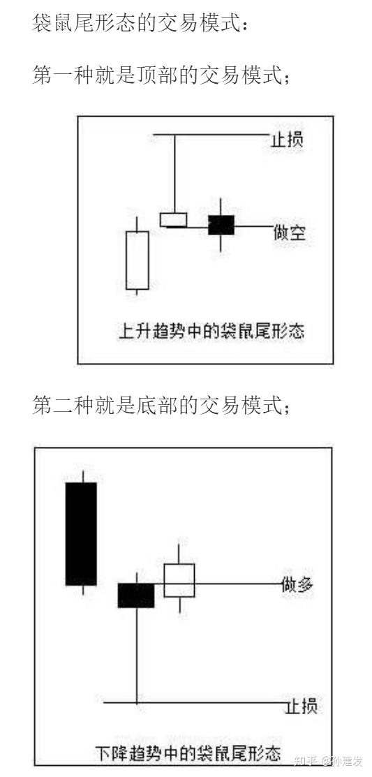 袋鼠尾形态图片