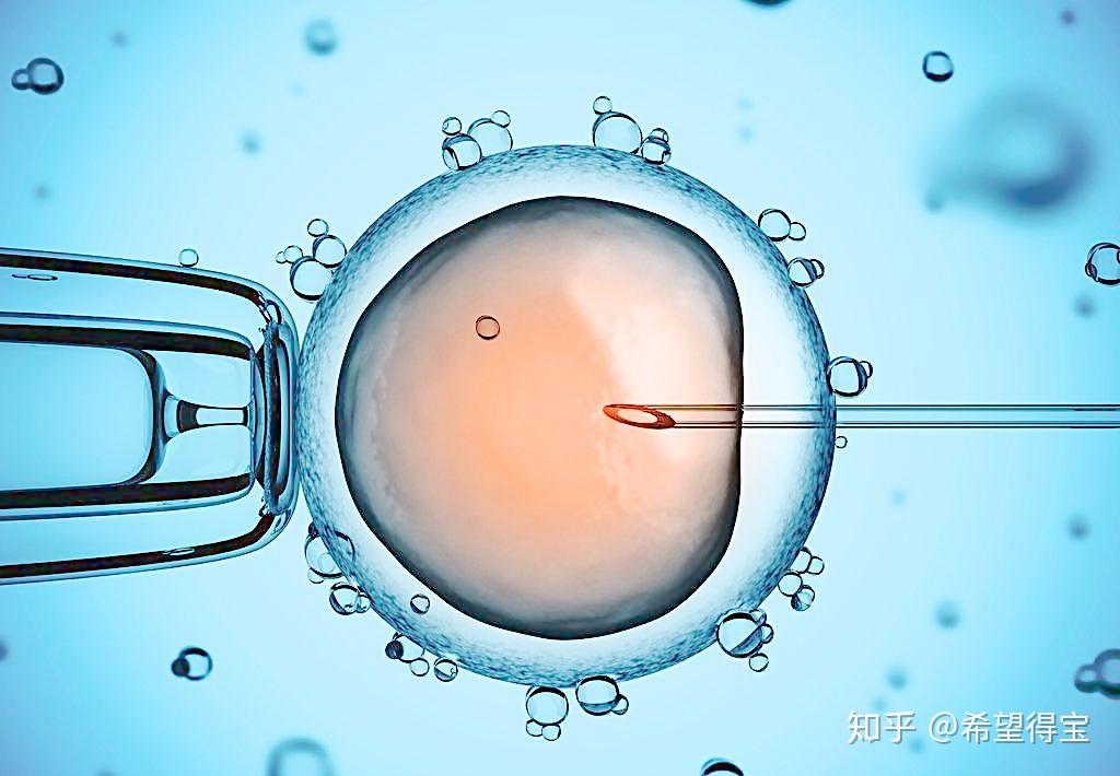 第三代代生大概用多少钱（一般代怀助孕机构大约多少钱一次？）