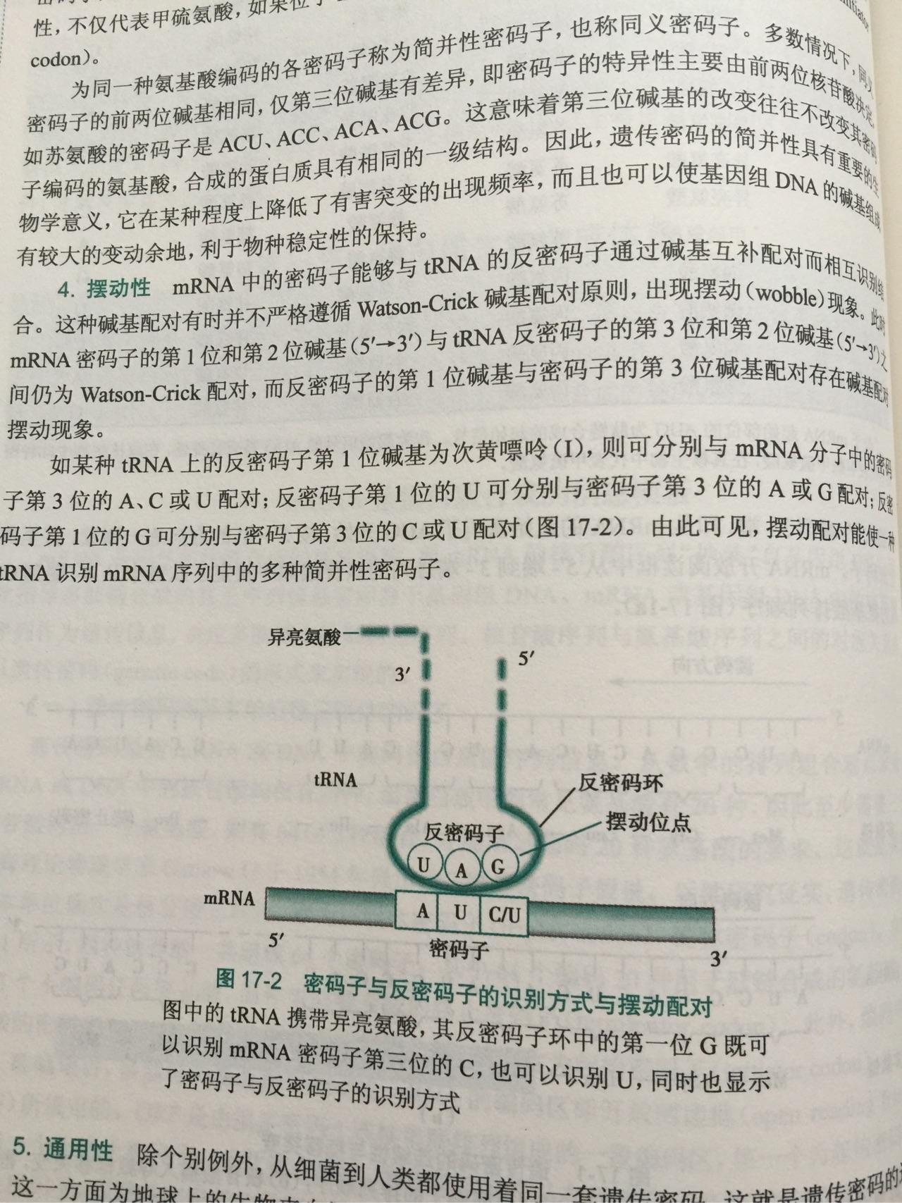 反密码子读取方向按照什么