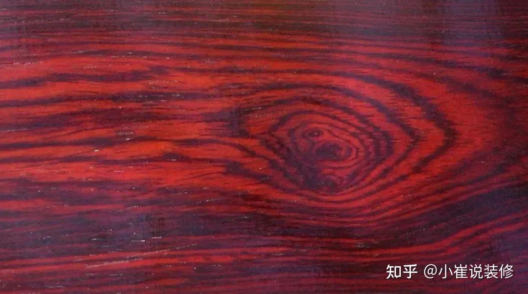 吐血整理!家装常见木材盘点,选木材看这一篇就够了 - 知乎