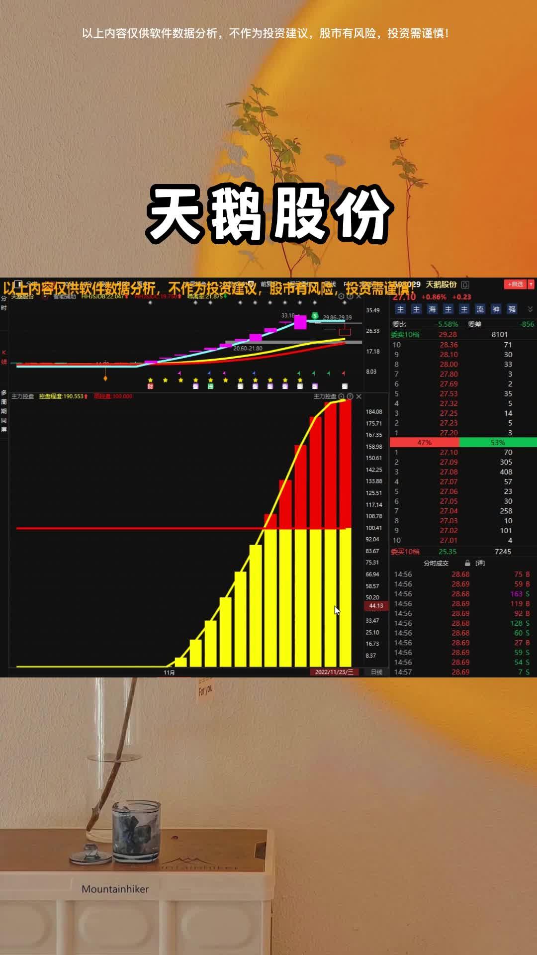 包含天鹅股份最新股票行情的词条