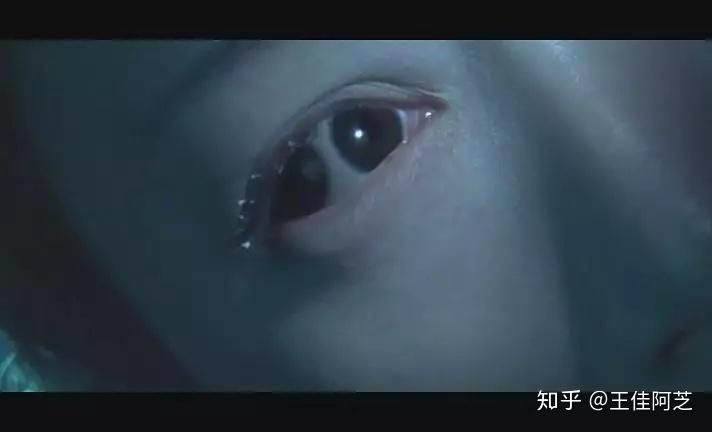 双瞳 - 知乎