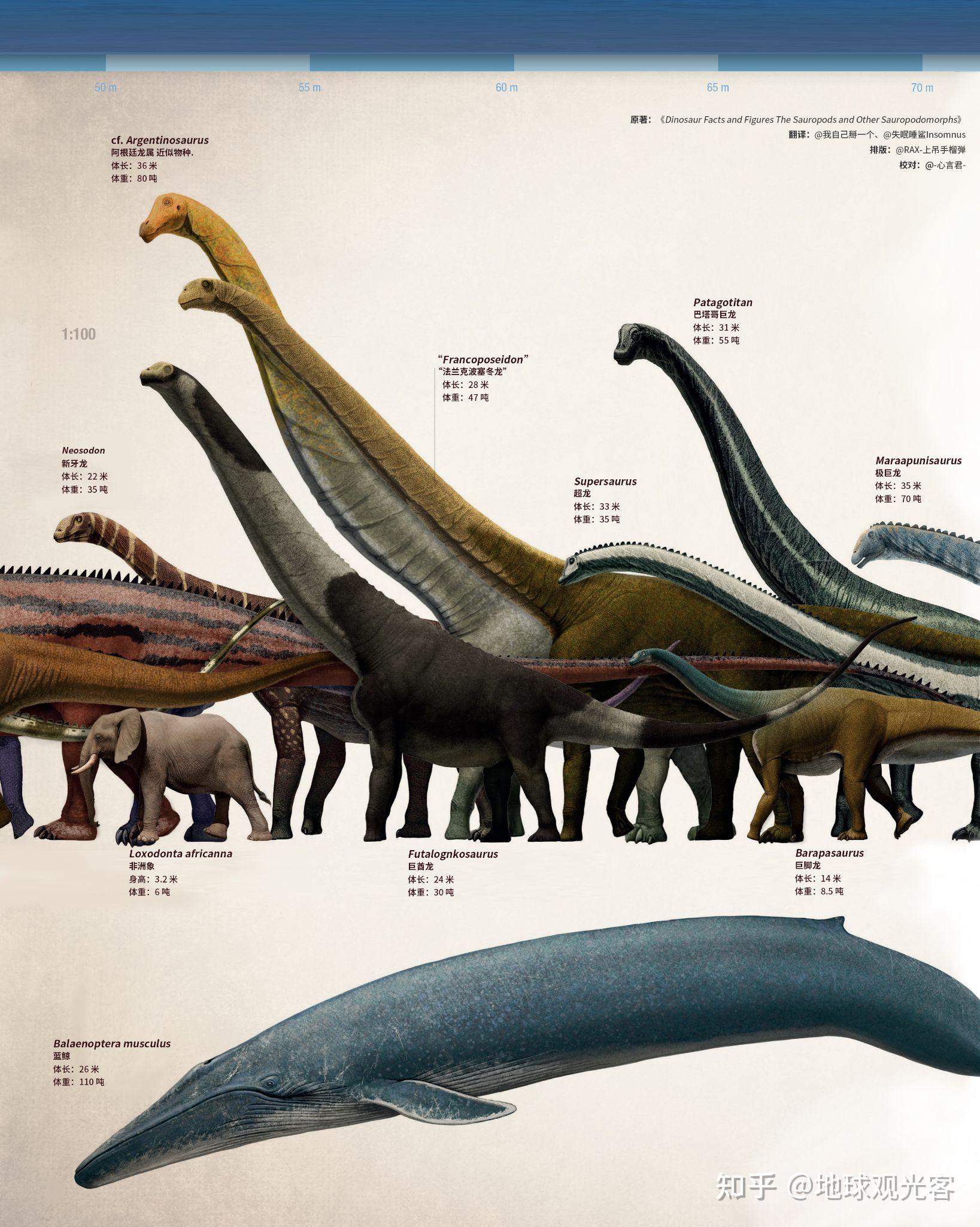 各种恐龙的名称 真实图片