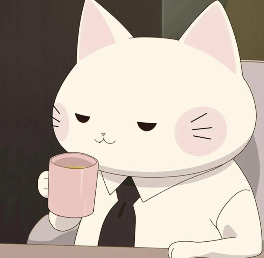 微信头像会影响第一印象吗? - 知乎