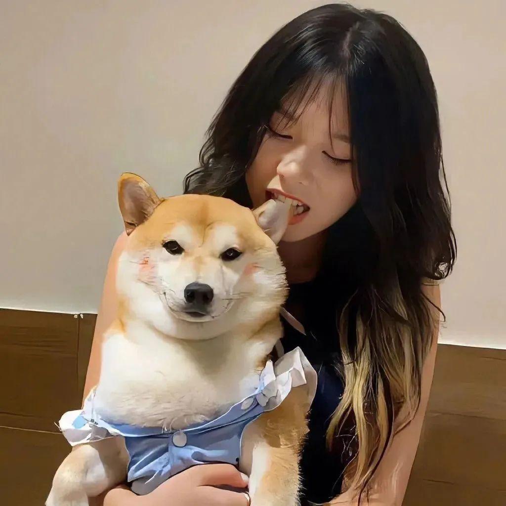 有哪些眼中带着愁绪但是温柔娴静的女生头像