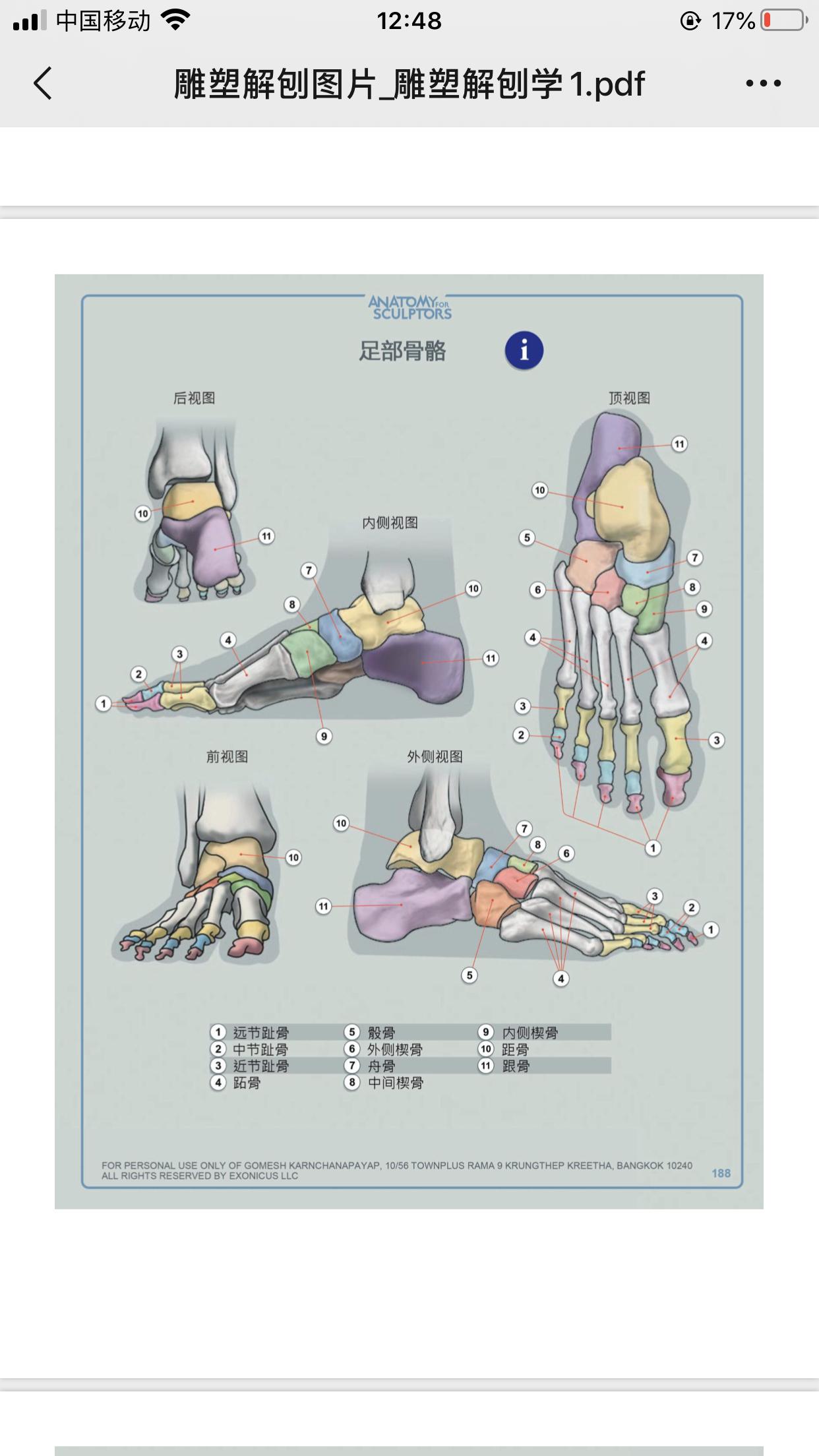人体脚踝内踝较高还是外踝,为什么?为何脚踝容易内翻而不是外翻? - 知乎