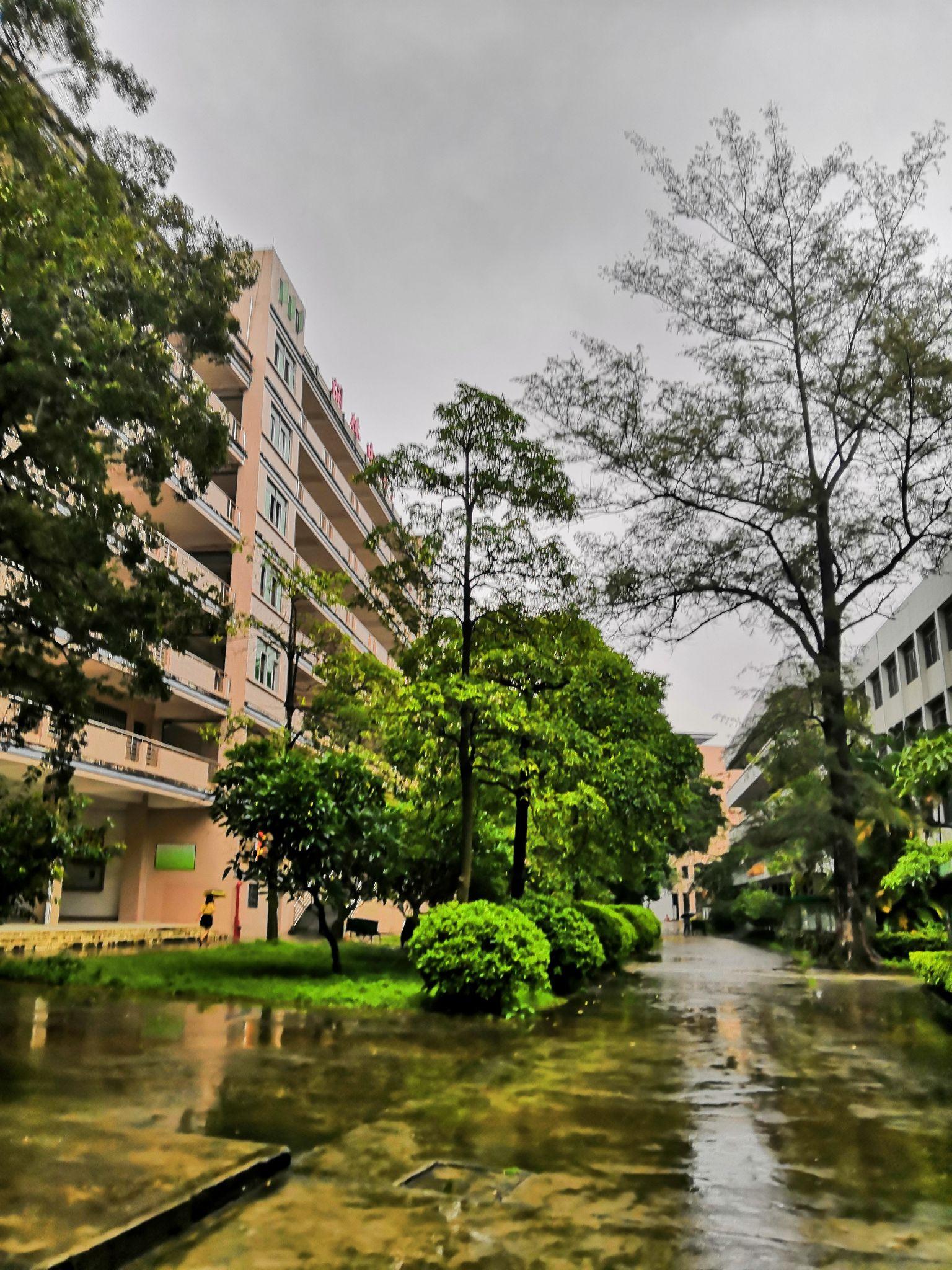 在开侨中学就读是一种怎样的体验? - 知乎