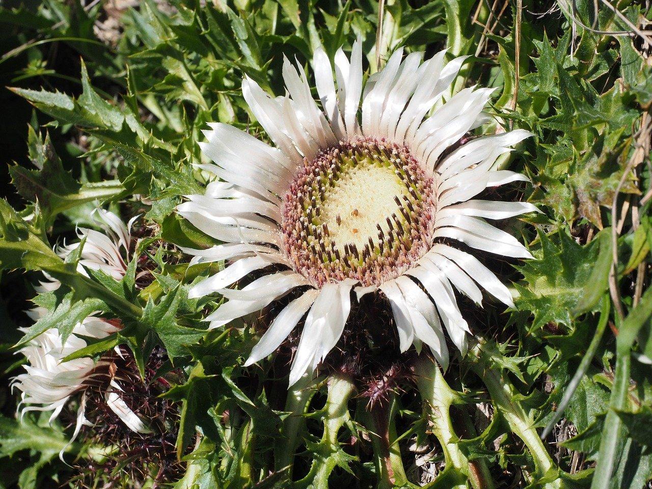 3. 顺平到安国自驾