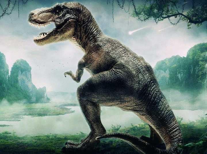 科学家计算出地球上共有过25亿只霸王龙还说很准确怎么计算的