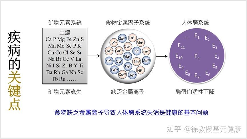 事实上,两度诺贝尔奖得主莱纳斯·卡尔·鲍林在上世纪就说过:"每一种
