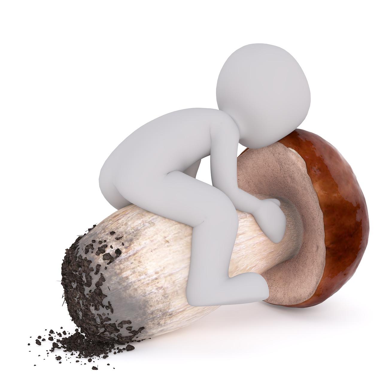 3. 蘑菇装修案例