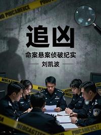 追凶：命案悬案侦破纪实