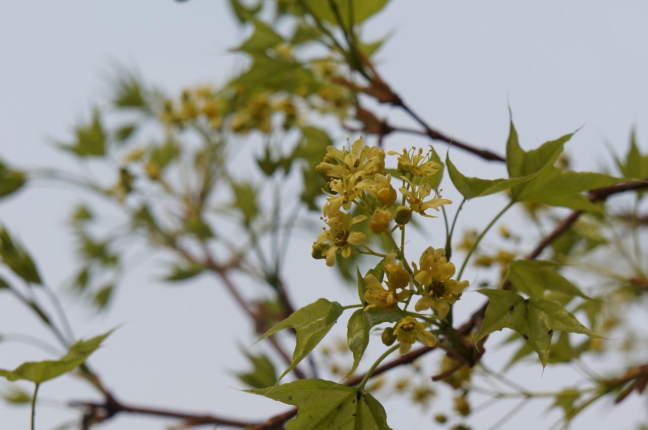 4. 生态园林景观美