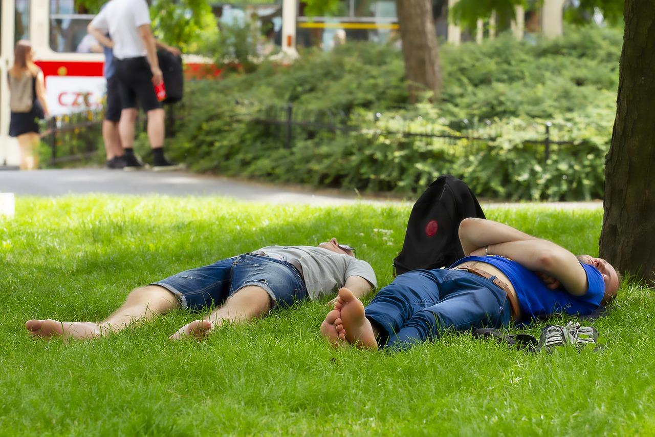 1. 李咏出生地揭秘