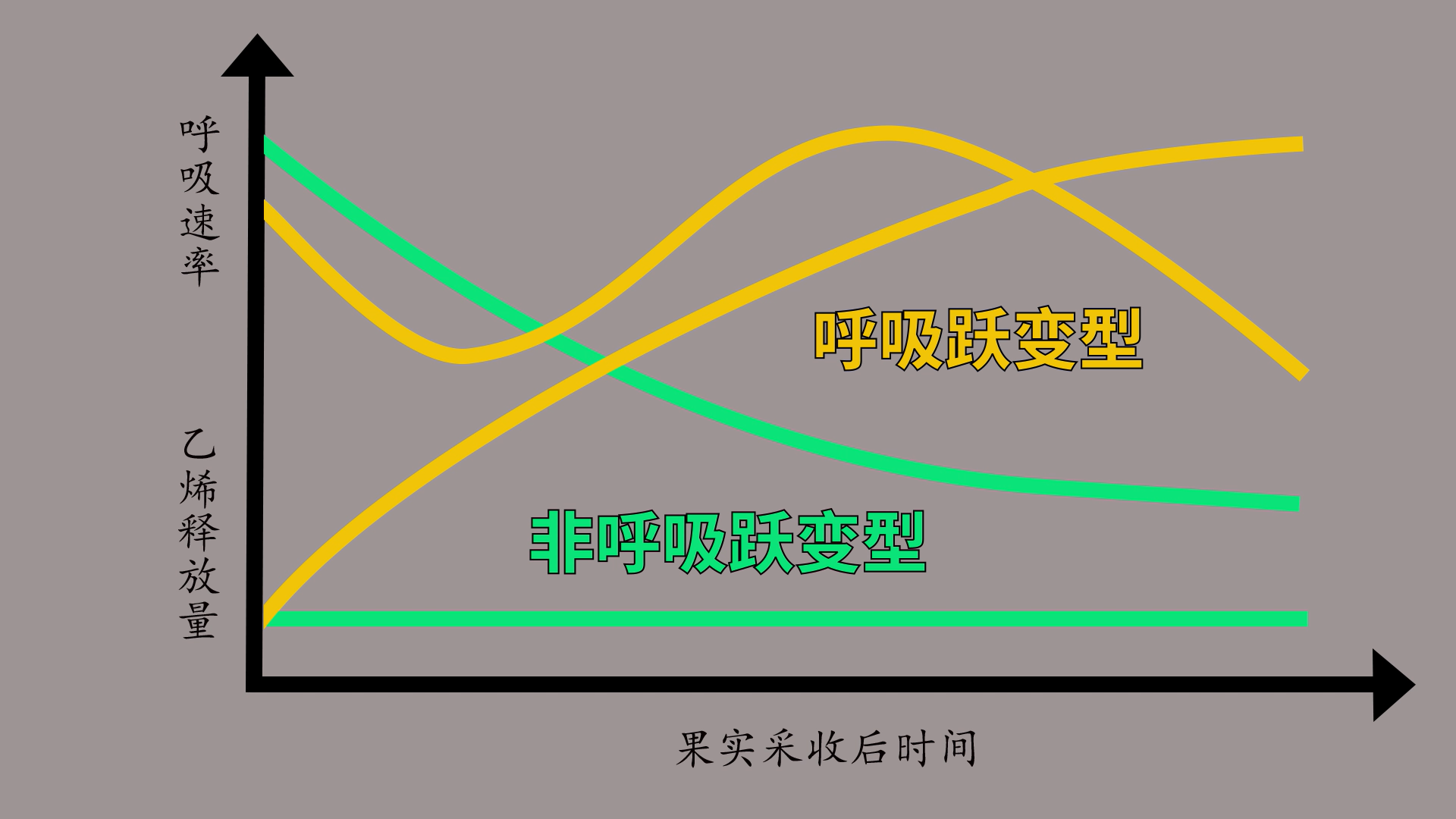 如何跟孩子解释「为什么吃菠萝前要用盐水泡一泡」? - 知乎