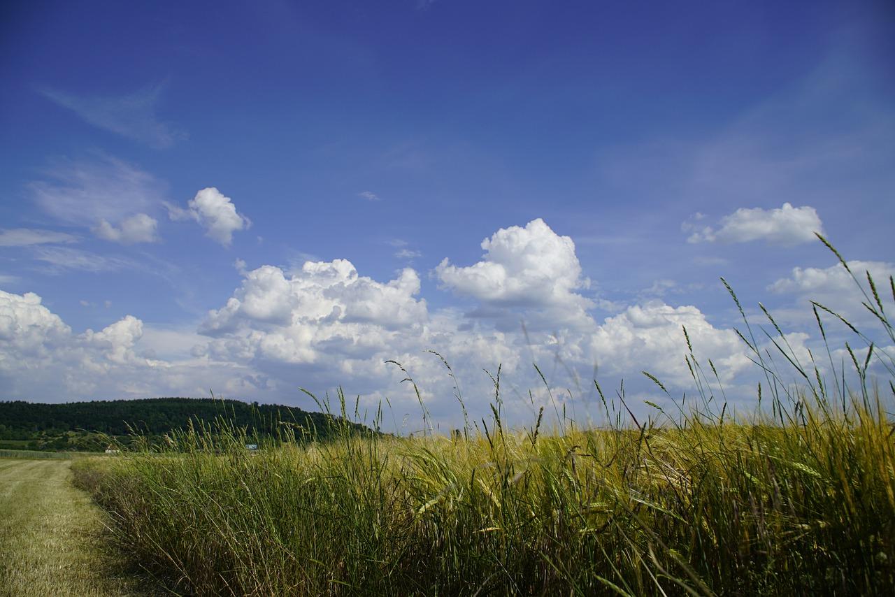 4. 个性化定制分区