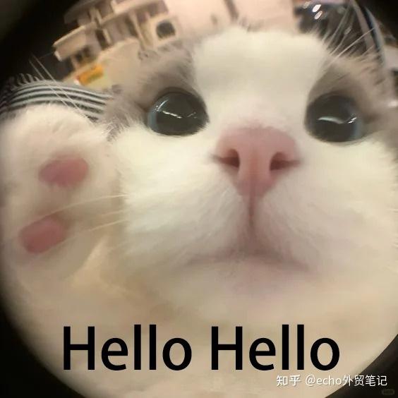 外贸人有自己的表情包！和外国客户聊天必备的英文表情包！ 知乎 