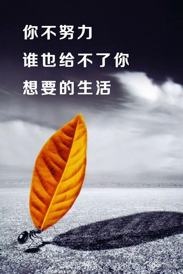 有哪些積極正能量句子可以每天激勵你