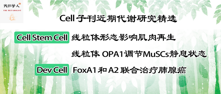 代谢学人--Cell子刊近期代谢研究精选 - 知乎