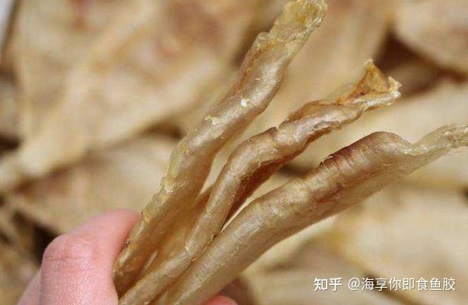 大口胶到底是何方神圣?凭什么被称为花胶中的“性价比之王”? - 知乎