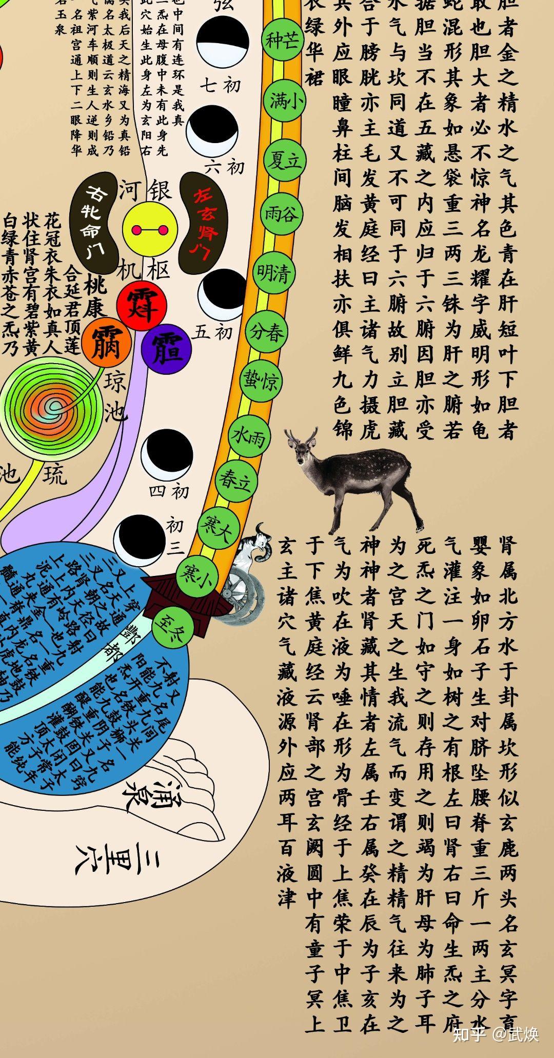 真的有修真功法吗