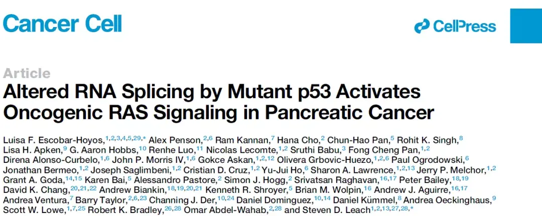 Cancer Cell | 胰腺癌中p53突变对Ras信号持续激活的机制 - 知乎