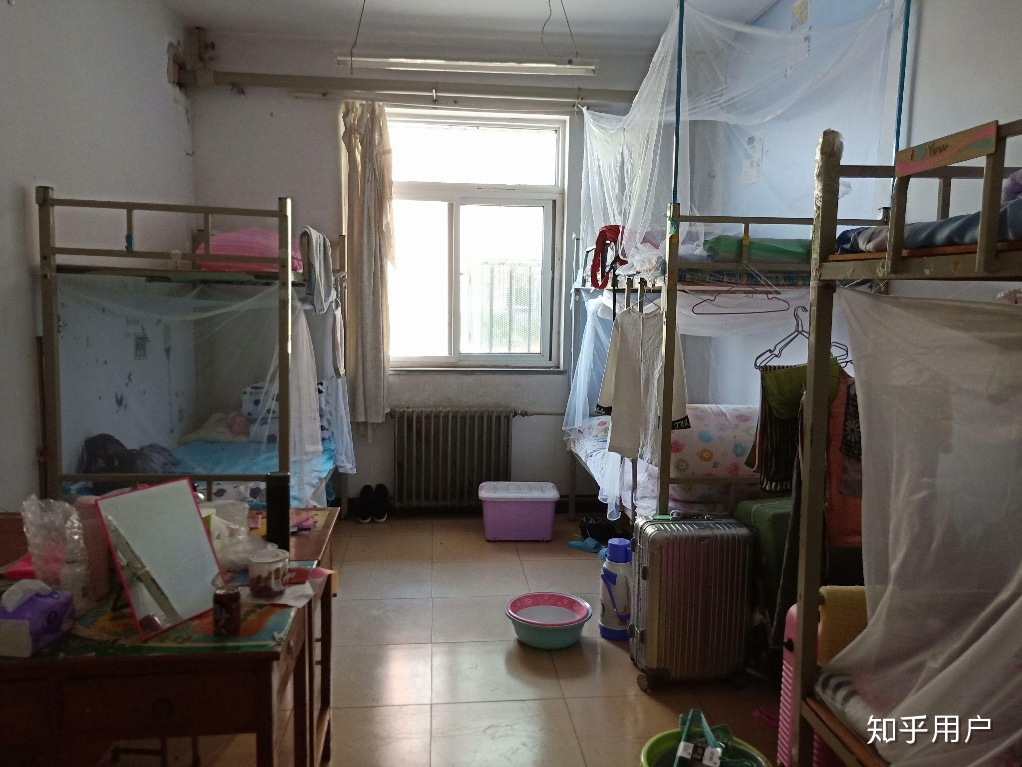 如何评价天津外国语大学滨海校区